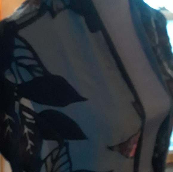 Silk velvet sheer Leaf patterned scarf - Picture 3 of 9